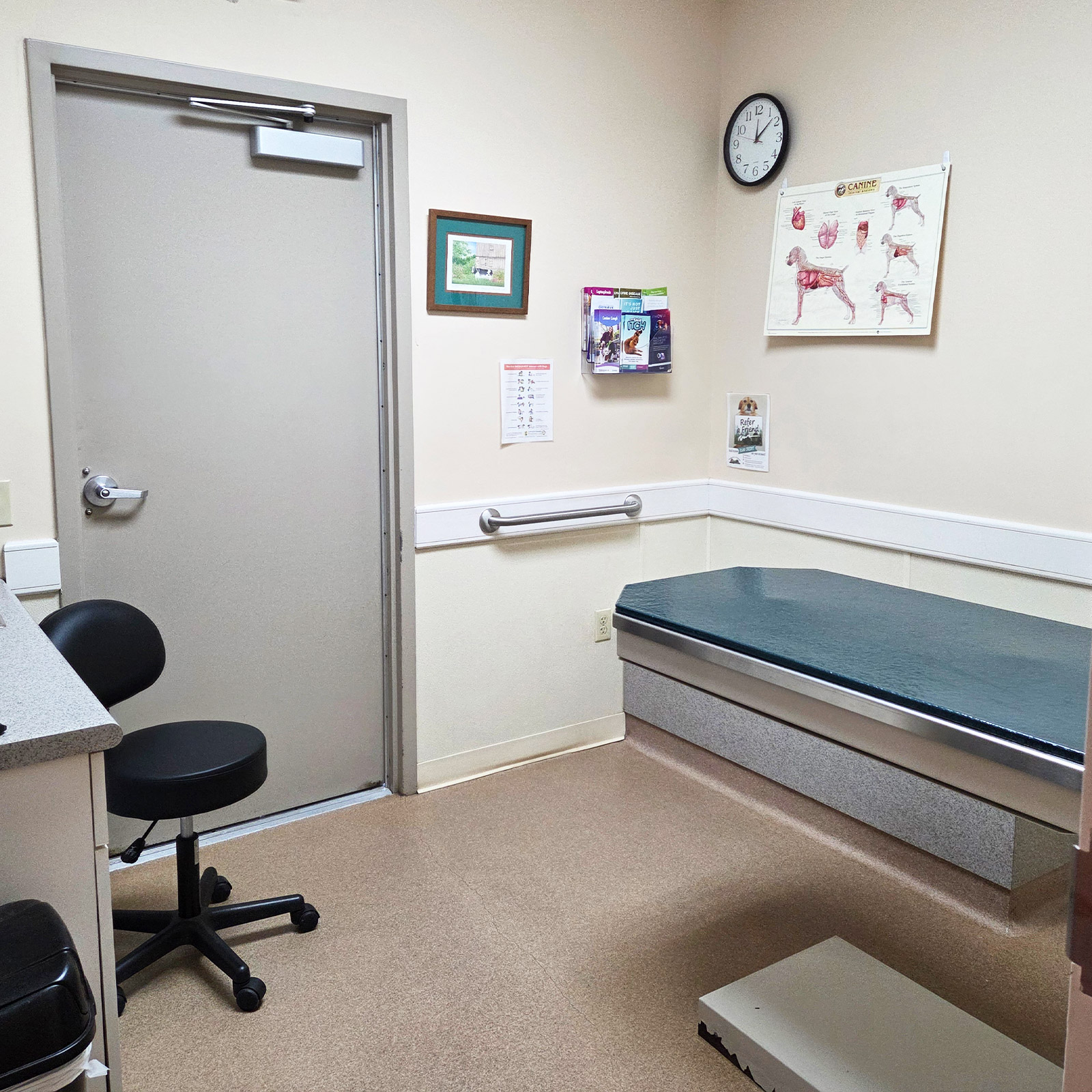 Timberview-examroom A dog happily chewing on a large stick in the forest.