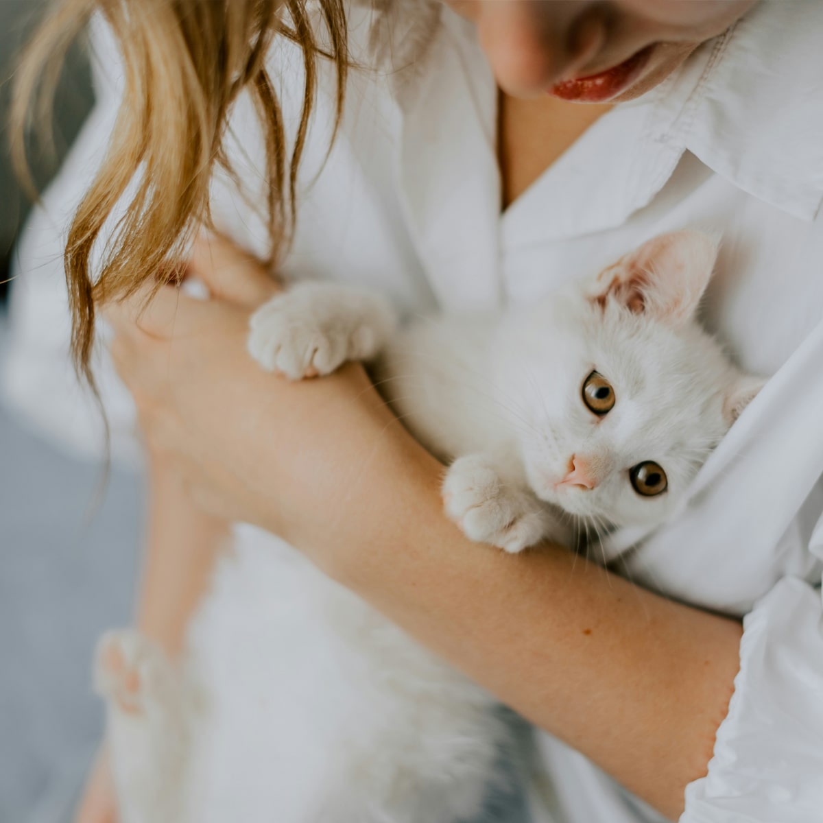 woman-cuddling-a-kitten-on-the-porch